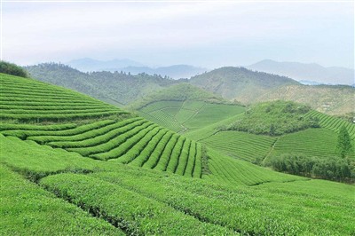 Gør et godt stykke arbejde i te +