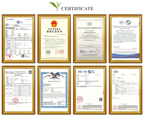 Den komplette vejledning til teeksportcertifikater: sanitære certifikater, plantesundhedscertifik...
